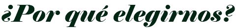 ¿Por qué elegirnos?